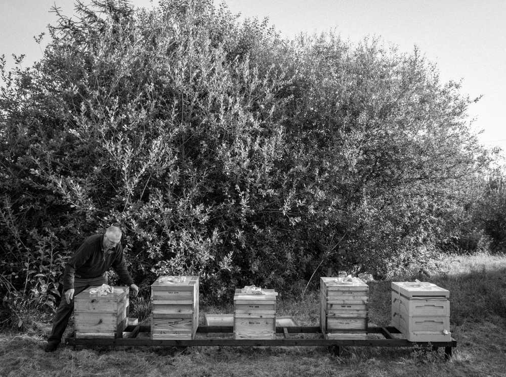 Beekeeping_0025