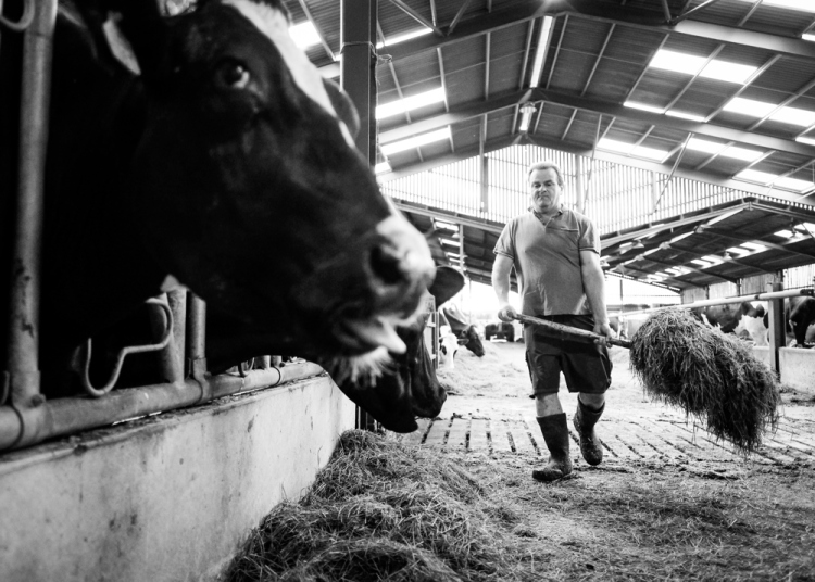 Dairy Farmer Nigel Watson